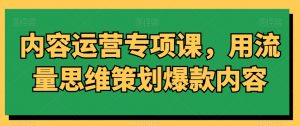 内容运营专项课，用流量思维策划爆款内容-无痕资源库
