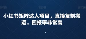小红书矩阵达人项目,直接复制搬运,回报率非常高-无痕资源库