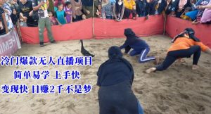 冷门爆款无人直播项目,简单易学上手快,变现快日赚2千不是梦【揭秘】-无痕资源库