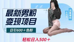 最新男粉变现项目，日引600＋色粉，全平台通用，轻松日入500＋【揭秘】-无痕资源库