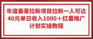 年度最豪拉新项目拉新一人可达40元单日收入1000＋红薯推广计划实操教程【揭秘】-无痕资源库