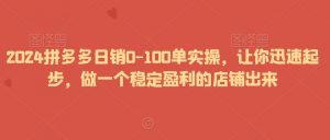 2024拼多多日销0-100单实操，让你迅速起步，做一个稳定盈利的店铺出来-无痕资源库