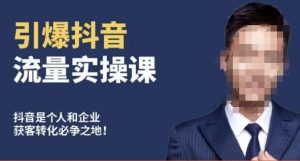 博商南小尧·引爆抖音流量实操课,手把手教你从0-1打造爆款抖音账号-无痕资源库