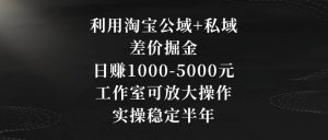 利用淘宝公域+私域差价掘金，日赚1000-5000元，工作室可放大操作，实操稳定半年【揭秘】-无痕资源库