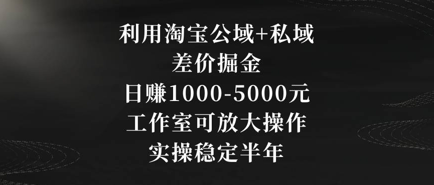 利用淘宝公域+私域差价掘金，日赚1000-5000元，工作室可放大操作，实操稳定半年【揭秘】-无痕资源库