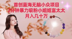 首创蓝海无脑小众项目，2分钟暴力吸粉小姐姐富太太，月入几十万【揭秘】-无痕资源库