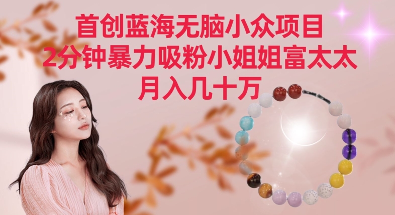 首创蓝海无脑小众项目,2分钟暴力吸粉小姐姐富太太,月入几十万【揭秘】-无痕资源库