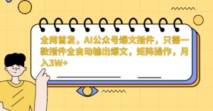 全网首发，AI公众号爆文插件，只需一款插件全自动输出爆文，矩阵操作，月入3W+【揭秘】-无痕资源库