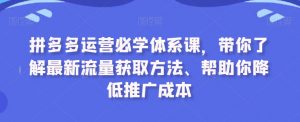 拼多多运营必学体系课，带你了解最新流量获取方法、帮助你降低推广成本-无痕资源库