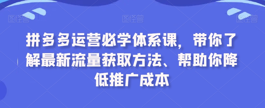 拼多多运营必学体系课，带你了解最新流量获取方法、帮助你降低推广成本-无痕资源库
