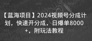 【蓝海项目】2024视频号分成计划，快速开分成，日爆单8000+，附玩法教程-无痕资源库