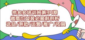 拼多多培训班第34期：做高价女装必盈利剖析选品/测款/运营/推广/拓展-无痕资源库