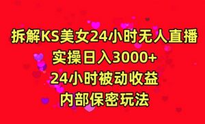 利用快手24小时无人美女直播,实操日入3000,24小时被动收益,内部保密玩法【揭秘】-无痕资源库