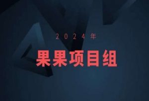 2024年果果项目组项目合集-果果最新项目-无痕资源库
