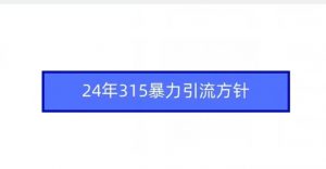 24年315暴力引流方针-无痕资源库