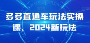 多多直通车玩法实操课,2024新玩法-无痕资源库