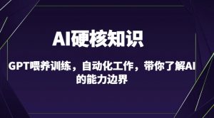 AI硬核知识-GPT喂养训练，自动化工作，带你了解AI的能力边界（10节课）-无痕资源库