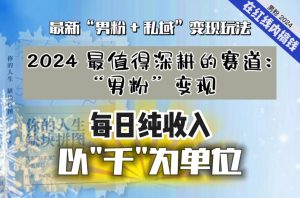 【私域流量最值钱】把“男粉”流量打到手，你便有无数种方法可以轻松变现，每日纯收入以“千”为单位-无痕资源库
