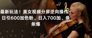 最新玩法！美女视频分屏逆向操作~日引600加色粉，日入700加，条条爆【揭秘】-无痕资源库