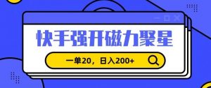 信息差赚钱项目,快手强开磁力聚星,一单20,日入200+【揭秘】-无痕资源库
