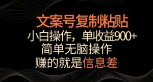 文案号掘金,简单复制粘贴,小白操作,单作品收益900+【揭秘】-无痕资源库