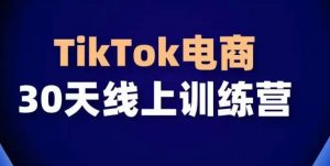 TikTok电商带货30天线上课，不可错过的全球流量洼地！-无痕资源库