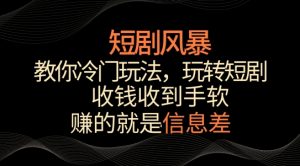 短剧风暴，教你冷门玩法，玩转短剧，收钱收到手软【揭秘】-无痕资源库