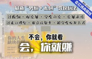 2024,“男粉+私域”还是最耐造、最赚、最轻松、最愉快的变现方式【揭秘】-无痕资源库