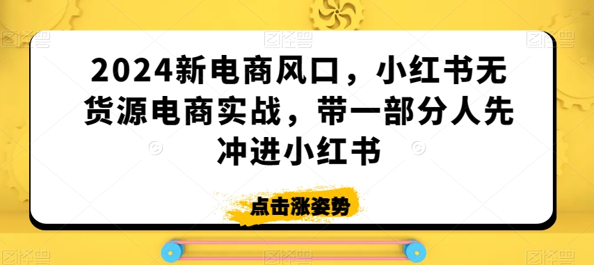 2024新电商风口，小红书无货源电商实战，带一部分人先冲进小红书-无痕资源库