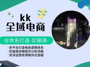 KK全域电商，全体系打造实操课，多平台打造电商逻辑体系-无痕资源库