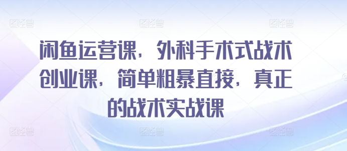 闲鱼运营课，外科手术式战术创业课，简单粗暴直接，真正的战术实战课-无痕资源库
