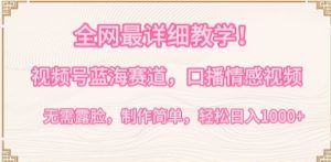 全网最详细教学，视频号蓝海赛道，口播情感视频，无需露脸，制作简单，轻松实现日入1000+【揭秘】-无痕资源库