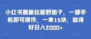小红书最新拉新野路子，一部手机即可操作，一单15块，做得好日入2000+【揭秘】-无痕资源库