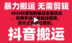 2024最新抖音搬运技术,抖音短剧视频去重,手法搬运,利用工具去重,达到秒过原创的效果【揭秘】-无痕资源库