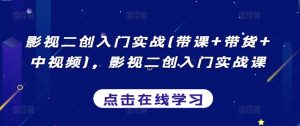 影视二创入门实战(带课+带货+中视频)，影视二创入门实战课-无痕资源库