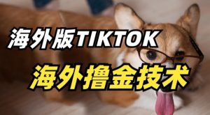 抖音海外版tiktok撸金技术，这个风口行业，赚钱真的不难【揭秘】-无痕资源库