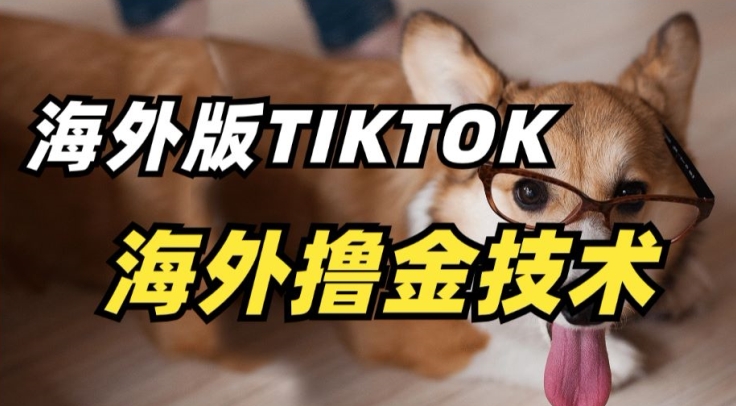 抖音海外版tiktok撸金技术，这个风口行业，赚钱真的不难【揭秘】-无痕资源库