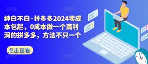 拼多多2024零成本包起,0成本做一个高利润的拼多多,方法不只一个-无痕资源库