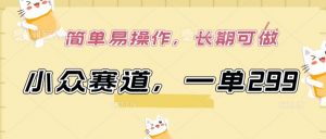 小众赛道，一单299.简单易操作，长期可做【揭秘】-无痕资源库