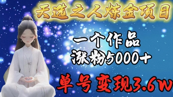 天选之人炼金项目，一个作品涨粉5000+，单号变现3.6w【揭秘】-无痕资源库