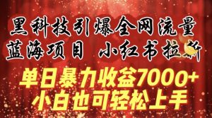 蓝海项目!黑科技引爆全网流量小红书拉新，单日暴力收益7000+，小白也能轻松上手【揭秘】-无痕资源库