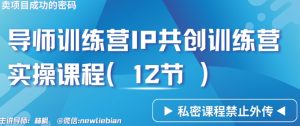 导师训练营3.0IP共创训练营私密实操课程（12节）-卖项目的密码成功秘诀【揭秘】-无痕资源库