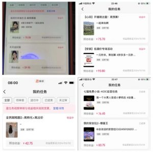 2024年3月最新,快手磁力聚星全流程实操教学,8台手机日均收益稳定100~200元【揭秘】-无痕资源库