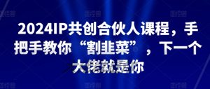 2024IP共创合伙人课程，手把手教你“割韭菜”，下一个大佬就是你-无痕资源库