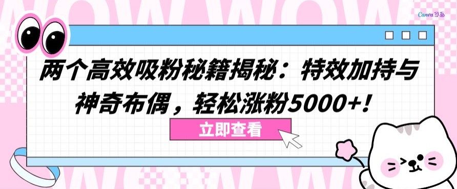 两个高效吸粉秘籍揭秘：特效加持与神奇布偶，轻松涨粉5000+【揭秘】-无痕资源库