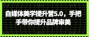 自媒体美学提升营5.0，手把手带你提升品牌审美-无痕资源库