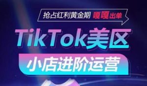 TikTok Shop美区小店进阶运营，抢占红利黄金期 嘎嘎出单-无痕资源库
