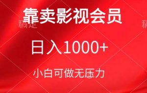靠卖影视会员，日入1000+，落地保姆级教程，新手可学【揭秘】-无痕资源库