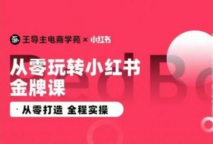 王导主·小红书电商运营实操课，​从零打造  全程实操-无痕资源库