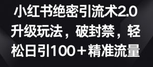 小红书绝密引流术2.0升级玩法,破封禁,轻松日引100+精准流量【揭秘】-无痕资源库